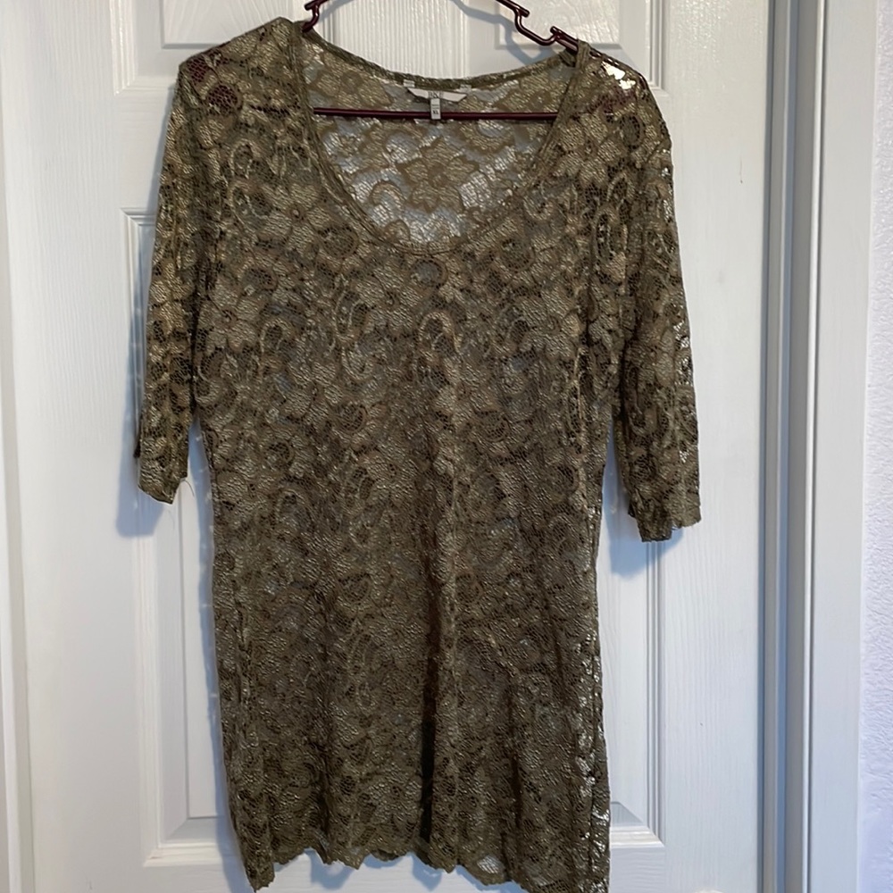 BKE Olive Green Sheer Short Sleeves Top